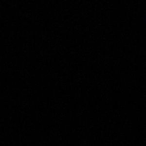 Meet your Posher, Bryonna